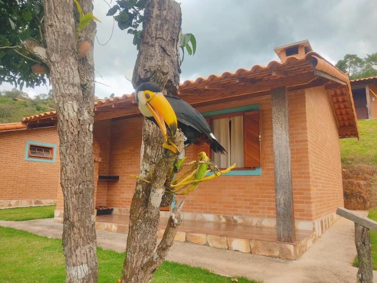 Villa Nova Chalés Lima Duarte Exterior foto